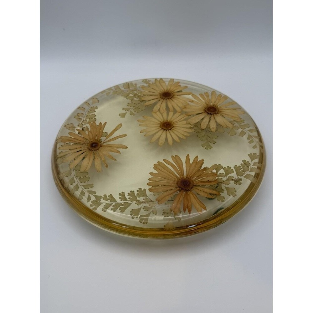 Vintage Lucite Pressed Flower Tray Daisy Fern Round 8" MCM Resin Decor